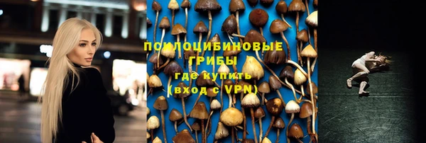 ALPHA PVP Краснослободск