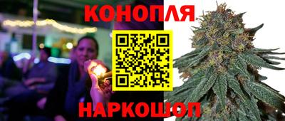 прущие грибы Ипатово
