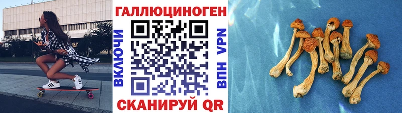 Галлюциногенные грибы Psilocybine cubensis цены shop официальный сайт Ногинск ссылка на мегу ссылка