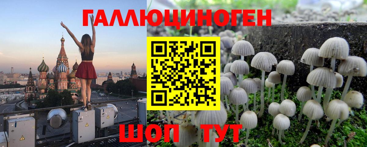 Ногинск  Псилоцибиновые грибы Psilocybine cubensis  Вход с VPN  Псилоцибиновые грибы мицелий 