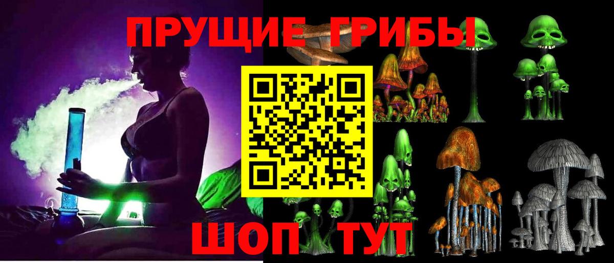 хочу   Ногинск  Галлюциногенные грибы Psilocybe 