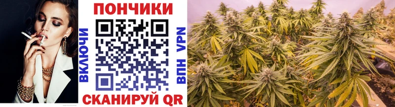 mega маркетплейс  Ногинск  Каннабис ГИДРОПОН 